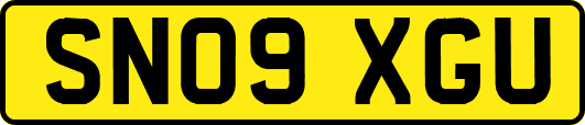 SN09XGU