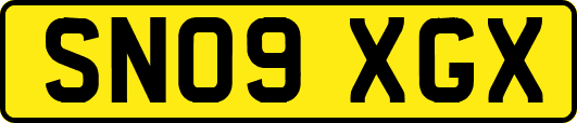 SN09XGX