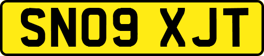 SN09XJT