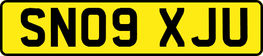 SN09XJU