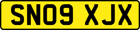 SN09XJX