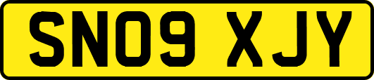 SN09XJY