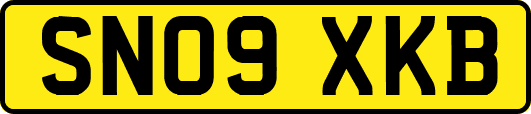 SN09XKB