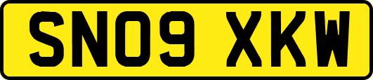SN09XKW