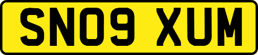 SN09XUM