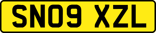 SN09XZL