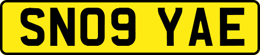 SN09YAE