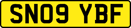 SN09YBF