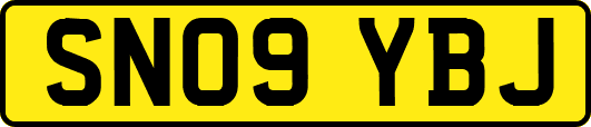 SN09YBJ