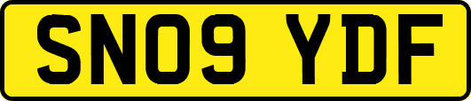 SN09YDF