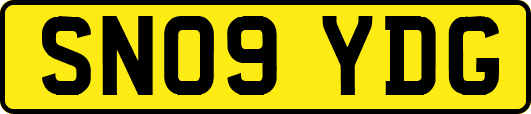 SN09YDG