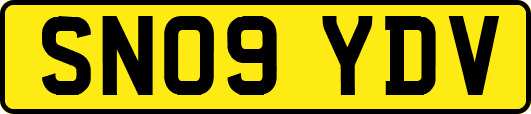 SN09YDV