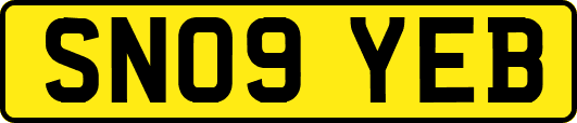 SN09YEB