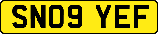 SN09YEF