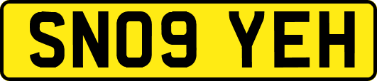 SN09YEH