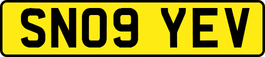 SN09YEV