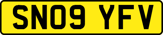 SN09YFV