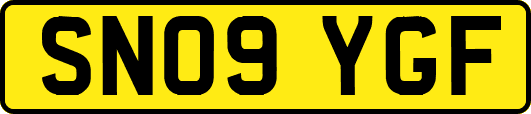 SN09YGF