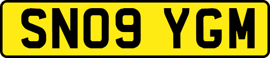 SN09YGM