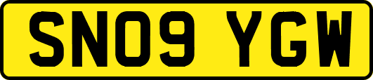 SN09YGW