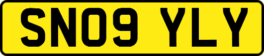 SN09YLY