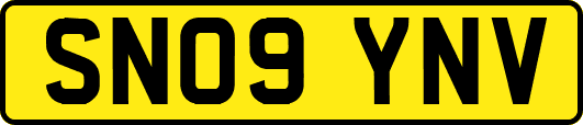 SN09YNV