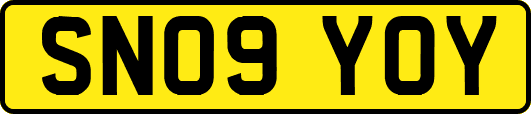 SN09YOY
