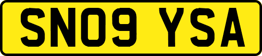 SN09YSA