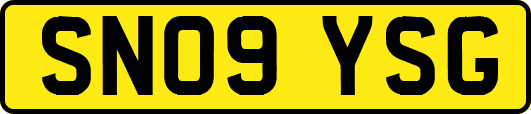 SN09YSG