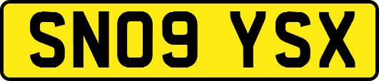SN09YSX