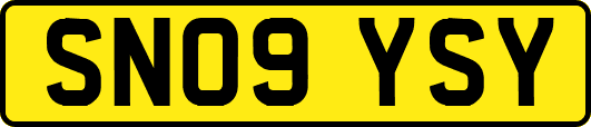 SN09YSY