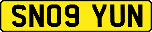 SN09YUN
