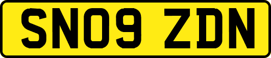 SN09ZDN