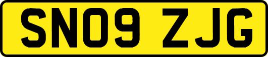 SN09ZJG
