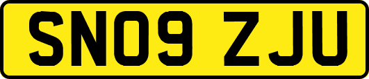 SN09ZJU