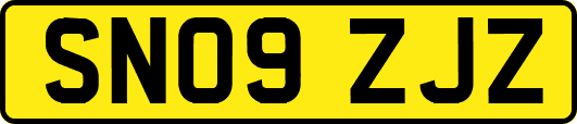 SN09ZJZ