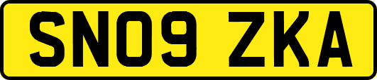 SN09ZKA