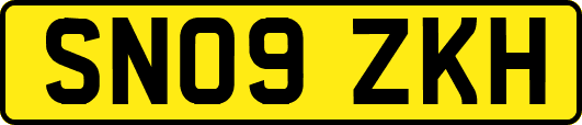 SN09ZKH