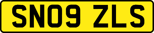 SN09ZLS