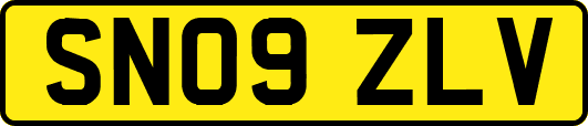 SN09ZLV