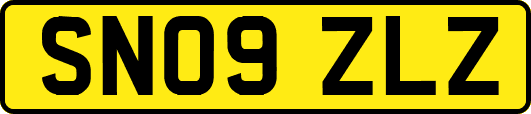 SN09ZLZ