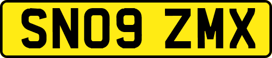 SN09ZMX