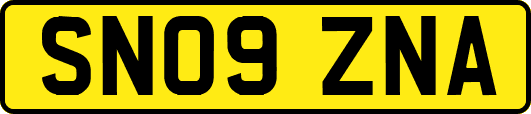 SN09ZNA