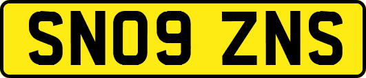 SN09ZNS
