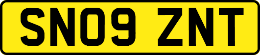 SN09ZNT