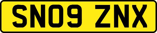 SN09ZNX