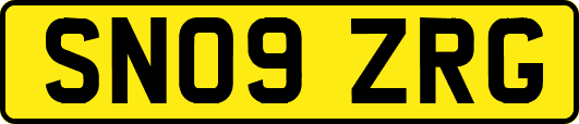 SN09ZRG
