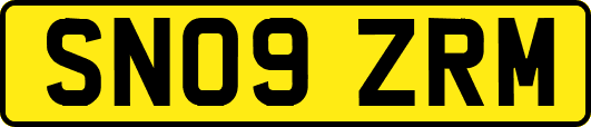 SN09ZRM