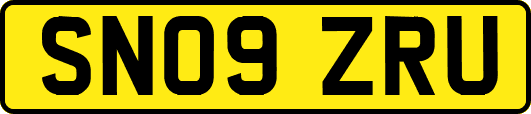 SN09ZRU