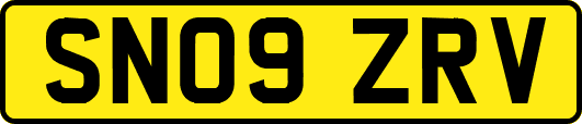 SN09ZRV